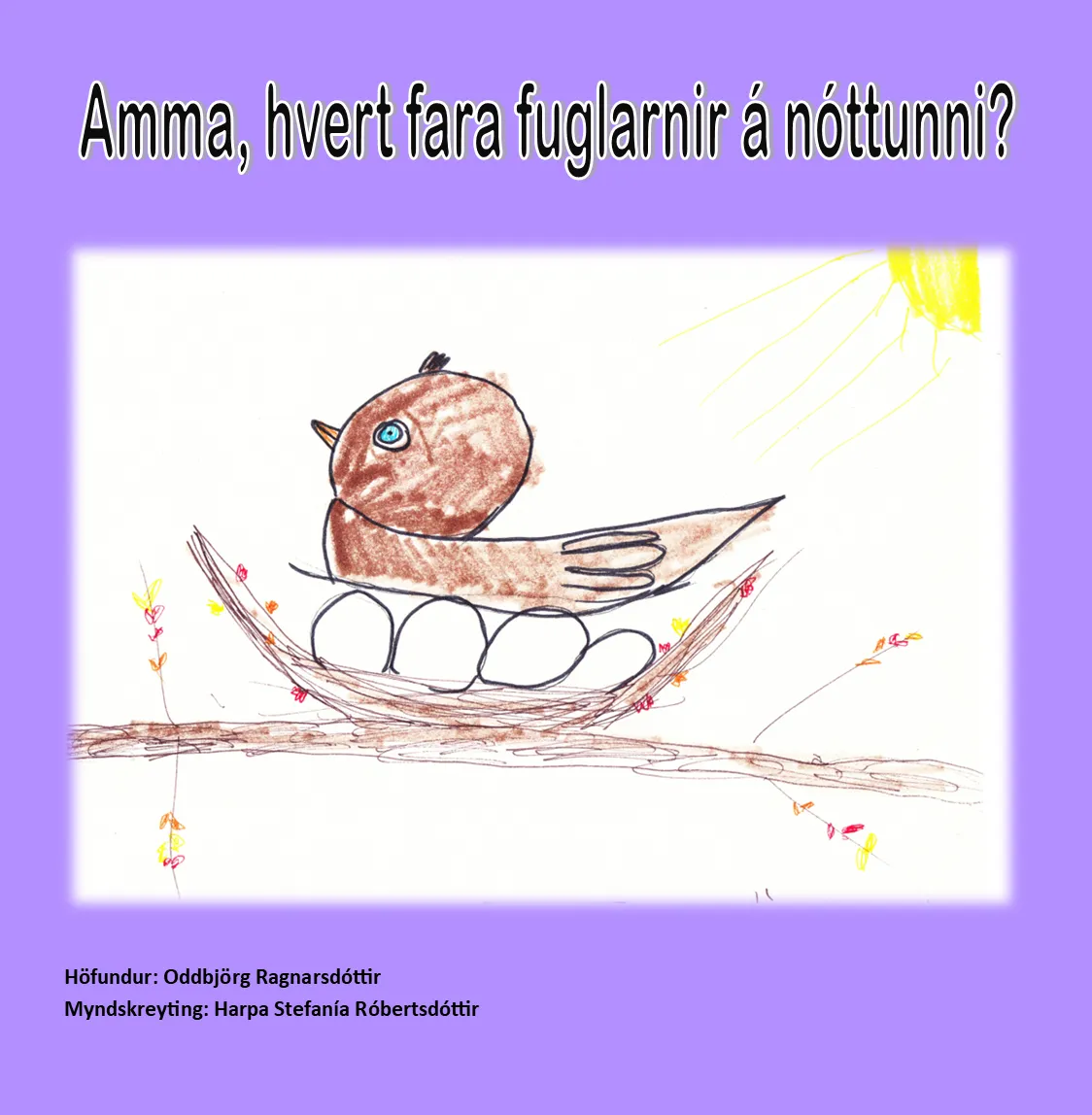 Amma, hvert fara fuglarnir á nóttunni?